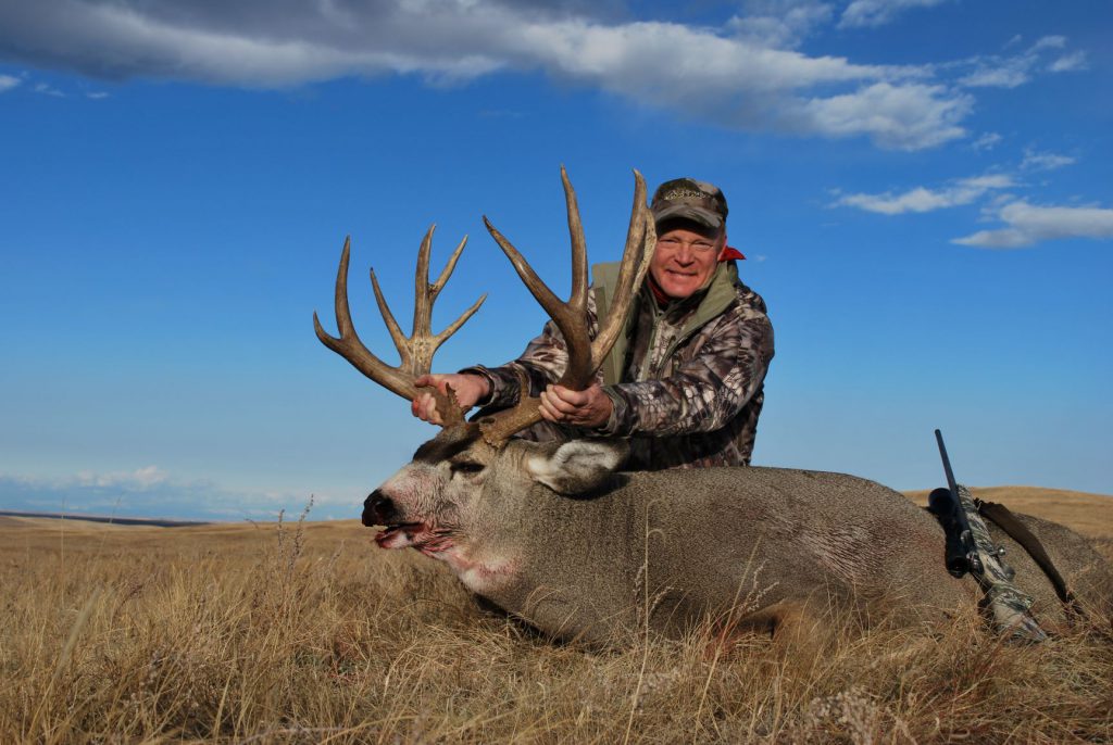 Boddington’s “best-ever” mule deer was taken with a single 130-grain Barnes TTSX. The shot was quartering away, entering behind the left shoulder and exiting through the right shoulder. The big-bodied buck took just a few steps and went down.