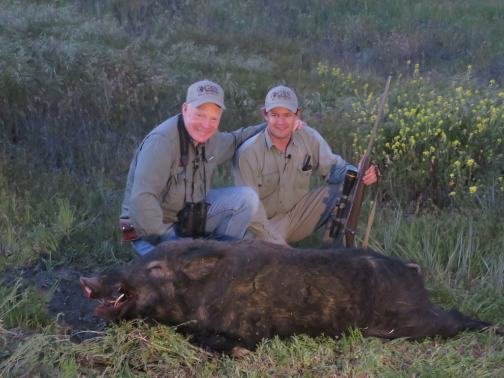 Boddington and Chad Wiebe with a very large California boar, taken with a 165-grain GMX from a .300 Winchester Magnum. A single shoulder shot dropped the pig in its tracks.