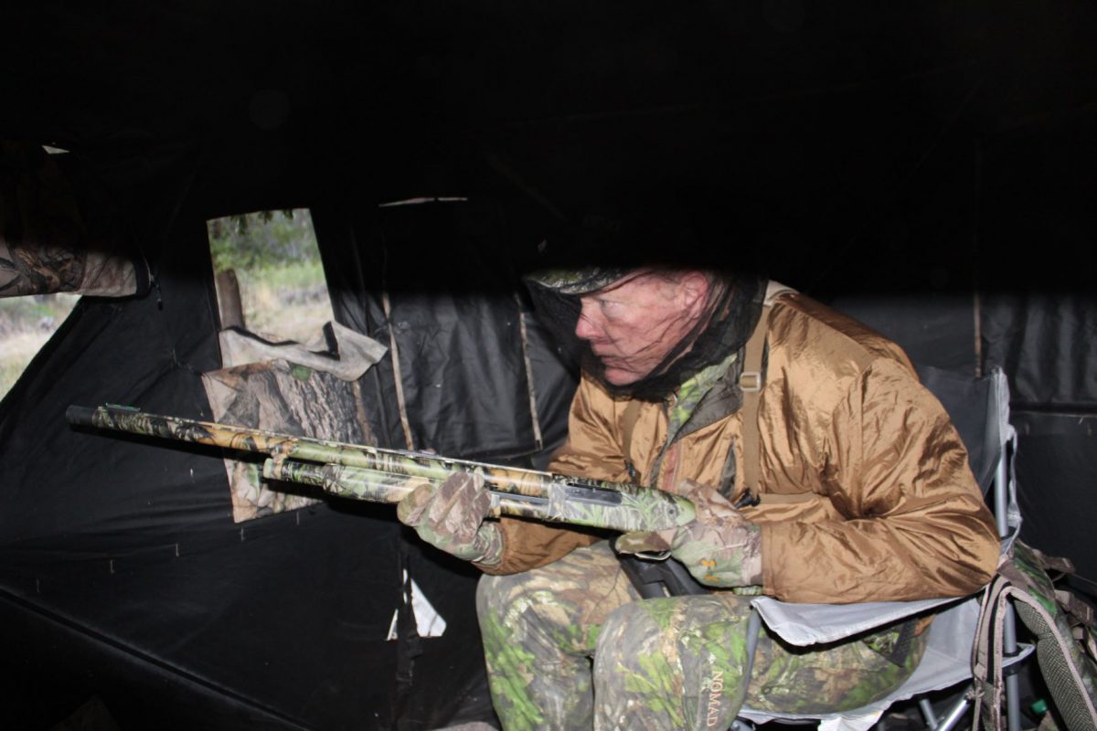 IMG_2876: In a turkey blind with the left-hand Mossberg 500. This is a near-perfect turkey gun: In camo with non-glare finish, fairly light and the 24-inch barrel is fairly handy in close quarters.