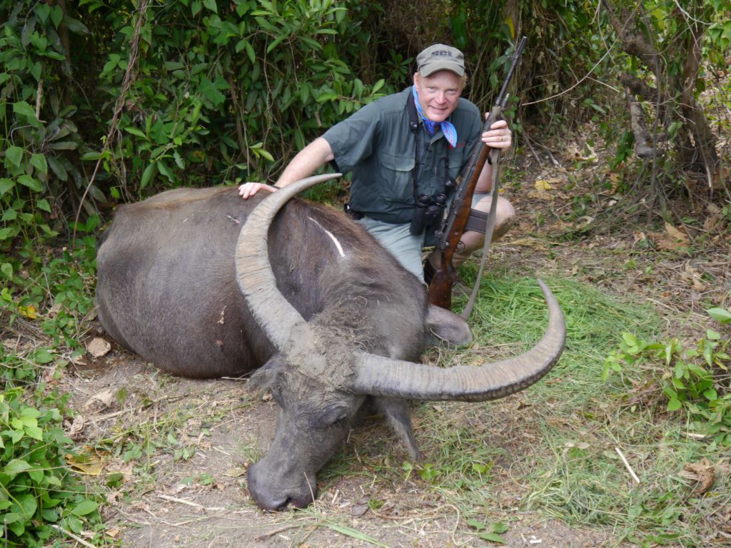 P1000465: This Asian water buffalo is the largest game I’ve taken with either .30-06 or .308. Firearms can’t be brought into the Philippines, so we used an old M14 and military ball ammo borrowed from the local military. For close-range jungle shooting it worked just fine!