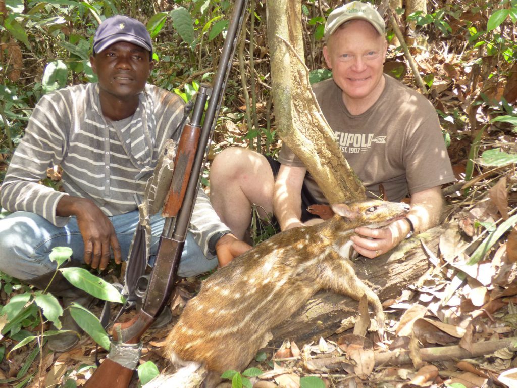 P1020103: Oddly, the Mossberg 500 isn’t as famous as some pump guns, but more than 10 million have been made and it’s a great action. Boddington used a Mossberg 500 “camp gun” on two safaris in Liberia, here with a water chevrotain, a small jungle deer (not an antelope) with fangs rather than antlers.