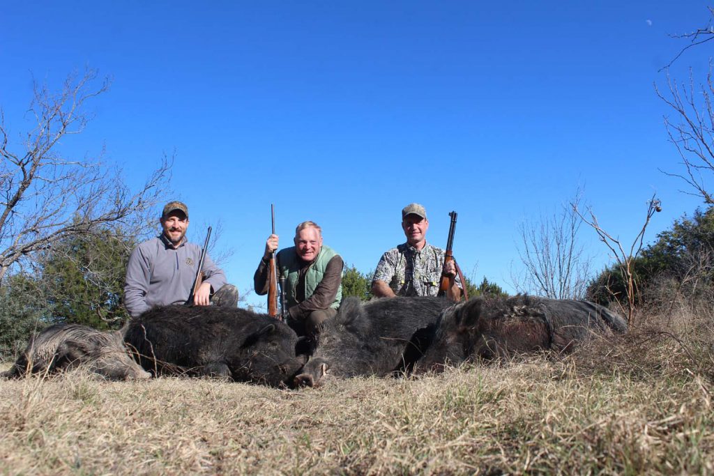 A bad weekend for Texas hogs. I’m flanked by John Stucker and Doug Mangham, with an eclectic arsenal. John used his Sabatti .450/.400 double, I used a .257 Roberts, and Doug carried well-used Marlin 336 .30-30 that he bought for a song. The right-hand-eject Marlin is a marvelous rifle and, with millions made, very affordable on the used-gun market.