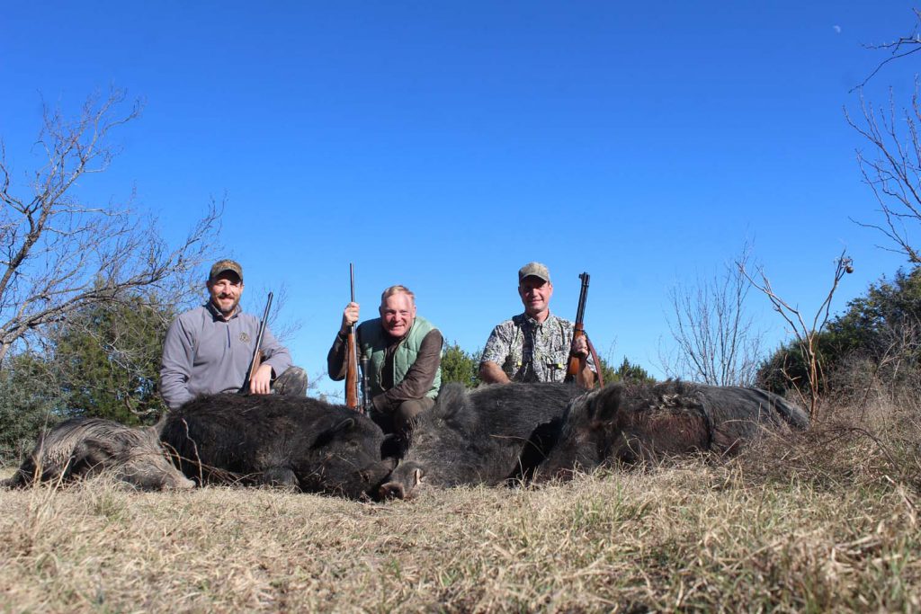 A bad weekend for Texas hogs. I’m flanked by John Stucker and Doug Mangham, with an eclectic arsenal. John used his Sabatti .450/.400 double, I used a .257 Roberts, and Doug carried well-used Marlin 336 .30-30 that he bought for a song. The right-hand-eject Marlin is a marvelous rifle and, with millions made, very affordable on the used-gun market.
