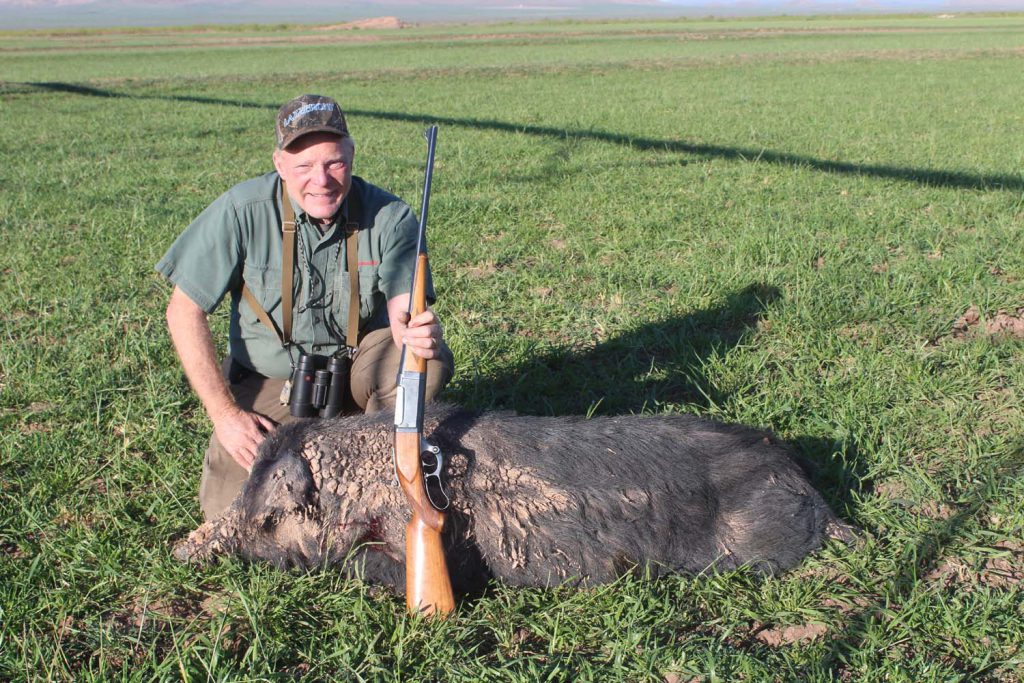 Using vintage rifles is fun! This big boar dropped to a single 100-grain Interlock from a century-old Savage 1899 .250-3000. At this time I didn’t yet know the rifling twist was too slow to stabilize longer bullets!
