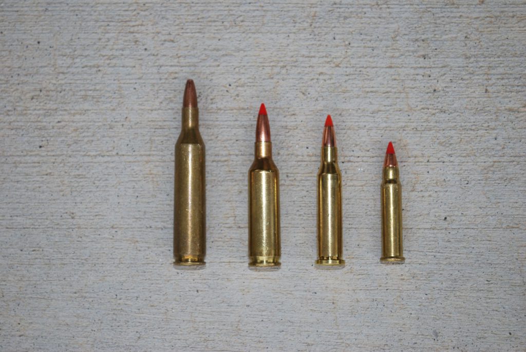 These are most of the factory .17 cartridges. Missing are the .17 Winchester Super Magnum and .17 Mach II, both rimfires. Left to right are: .17 Remington, .17 Remington Fireball, .17 Hornet, and .17 HMR.