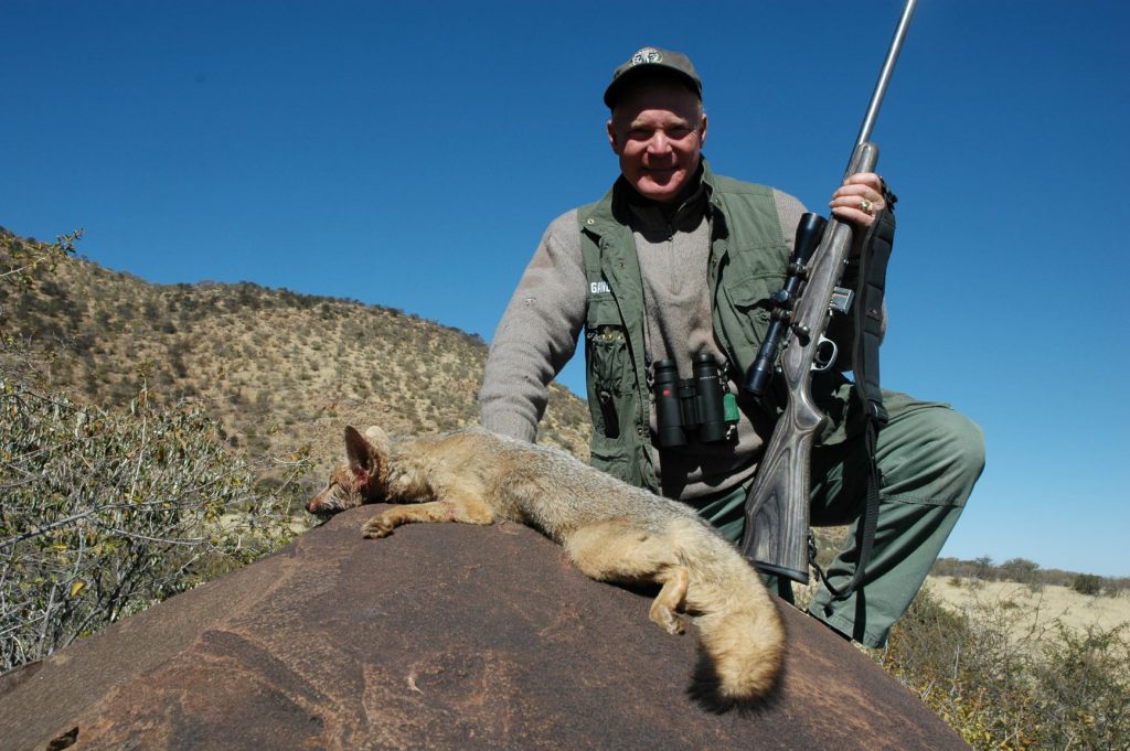 The African Cape fox is similar in size to American foxes. All of the .17s are excellent for this class of game because the light, frangible bullets rarely exit and do little pelt damage. The rifle is a Marlin in .17 HMR, the rifle Boddington keeps handy on his Kansas farm.