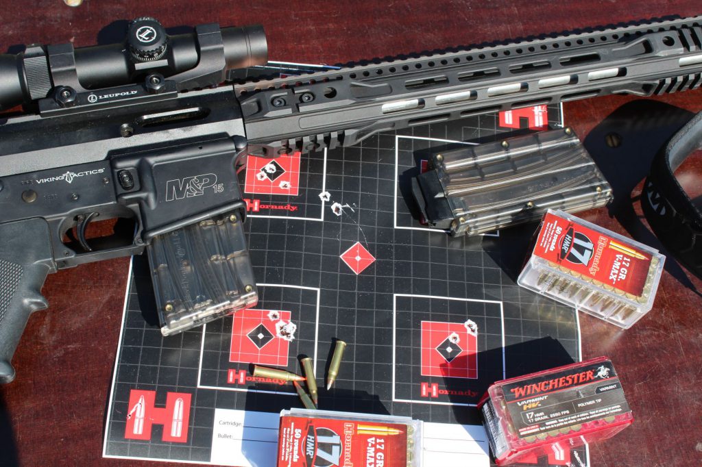Garrow Firearms Development offers a smooth-functioning AR upper for the .17 HMR. Supplied with a ten-round magazine, it drops onto most AR lower receivers, functions smoothly, and is obviously very accurate.