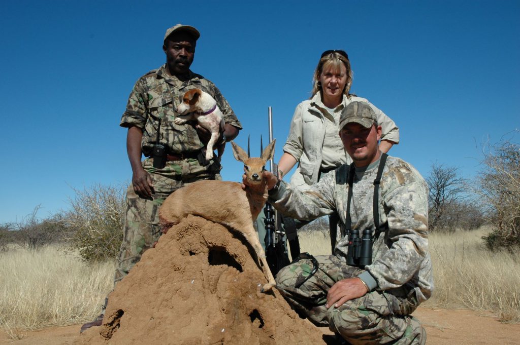 Donna Boddington took this excellent steenbok in Namibia using a Marlin .17 HMR. Penetration was not impressive…ever since, Boddington has considered even such small antelopes the .17 HMR’s upper limit…and doesn’t believe it’s adequate for coyotes.