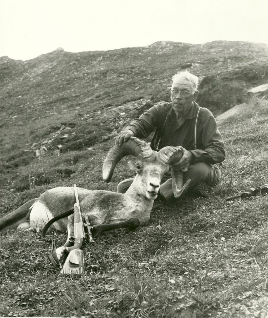 O’Connor Stone sheep: Jack O’Connor, famous for promoting the .270, with one of his last wild sheep, a Stone ram, taken with his famous “No. 2” .270 by Al Biesen on a Model 70 Featherweight action. O’Connor’s rifles have a lot of value, but there are hundreds of good “O’Connor-vintage” .270s on the market…as well as plenty of new rifles.