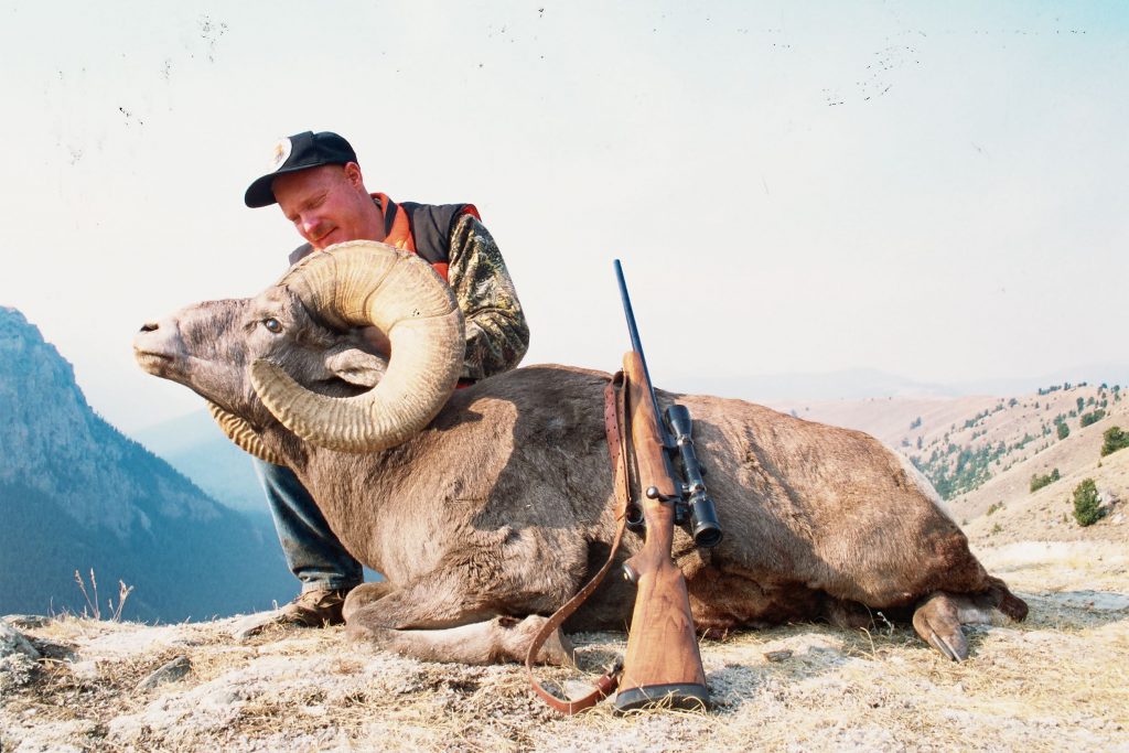 Bighorn-mt-1994: This Montana bighorn was the first wild sheep Boddington took with a .270. At the time he questioned his choice, but he was wrong: The .270 is an ideal choice for mountain game, fully adequate under any conditions.