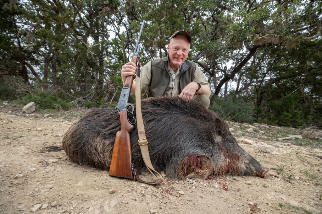 AG110923: A good-sized Texas porker, taken with a Winchester Model 71 in .348. Big-bore lever-actions are dramatically effective on hogs and fun to hunt with, but the aperture sight on this rifle limits range and, more importantly, becomes almost when the light goes.