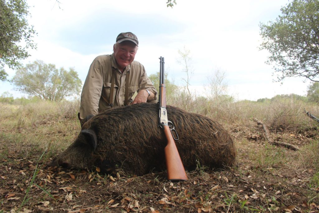 IMG_3681: A good-sized Texas porker, taken with a Winchester M1894 .30-30 using Hornady 160-grain FTX bullet. The old .30-30 is plenty of gun for hogs…just keep your shots close.