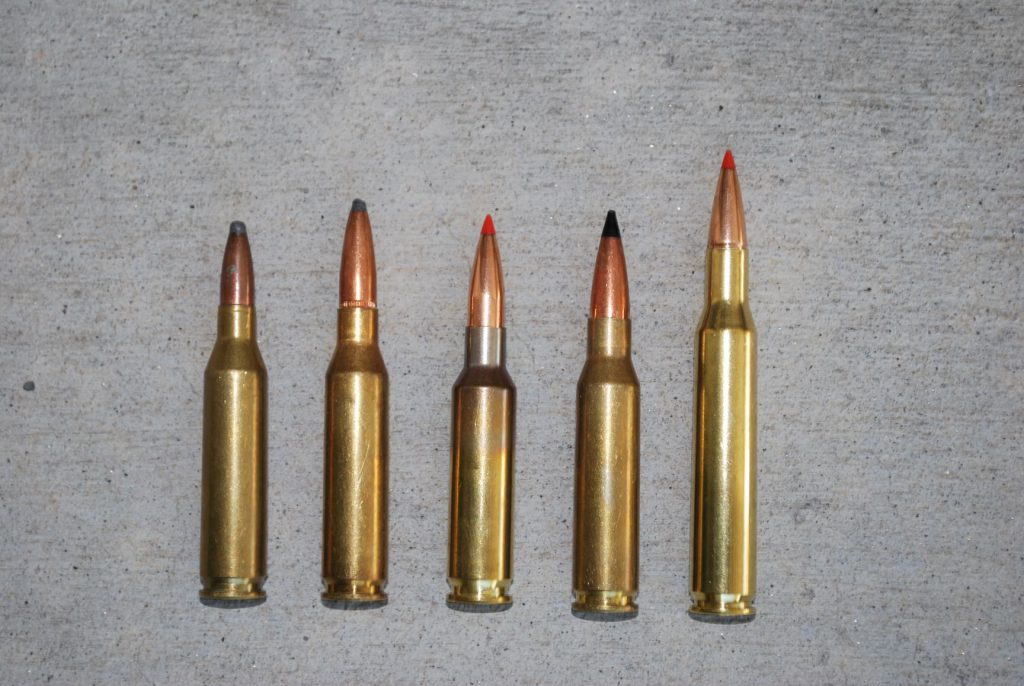 Cartridge lineup: Left to right: .243 Winchester; .260 Remington; 6.5mm Creedmoor; 7mm-08 Remington; .270 Winchester. Although often used, the .243 really isn’t powerful enough for big boars. The others are superb choices, versatile and powerful enough for almost all hog hunting.