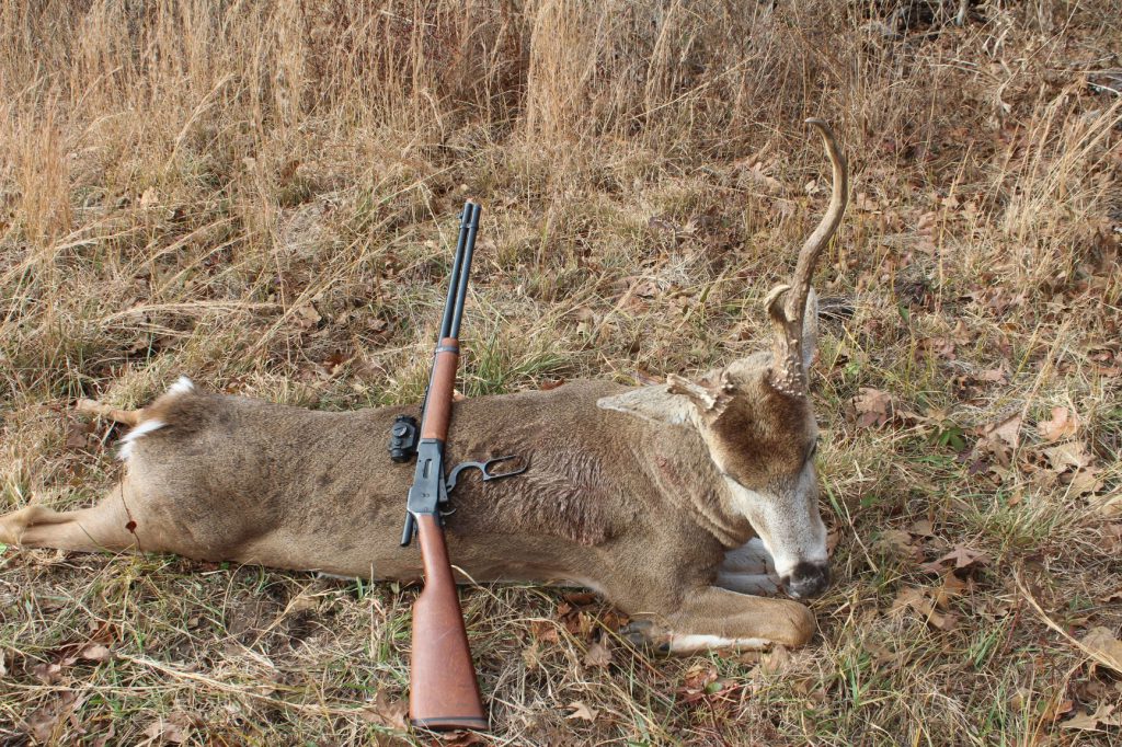 IMG_4027: In a one-buck state, the only way Boddington can “manage” his Kansas deer is to sacrifice his tag with an undesirable buck. His 2019 buck was this ancient spike, known and hunted for three seasons. The shot, from a tree stand, was about 50 yards with a .30-30. He didn’t see the buck go down, but he heard it roll after a 60-yard run.