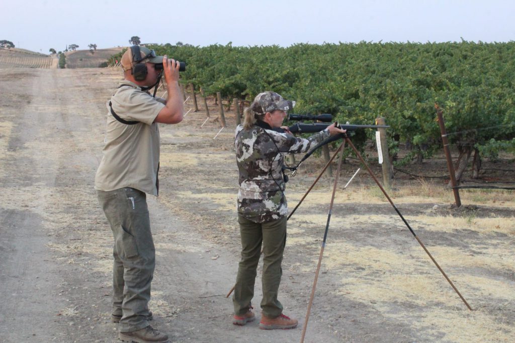 IMG_7821: Donna Boddington uses Africa-style shooting sticks for a shot at a California blacktail deer. With practice, “sticks” get you above low vegetation and, with practice, are steady to about 150 yards…adequate for much spot-and-stalk deer hunting.