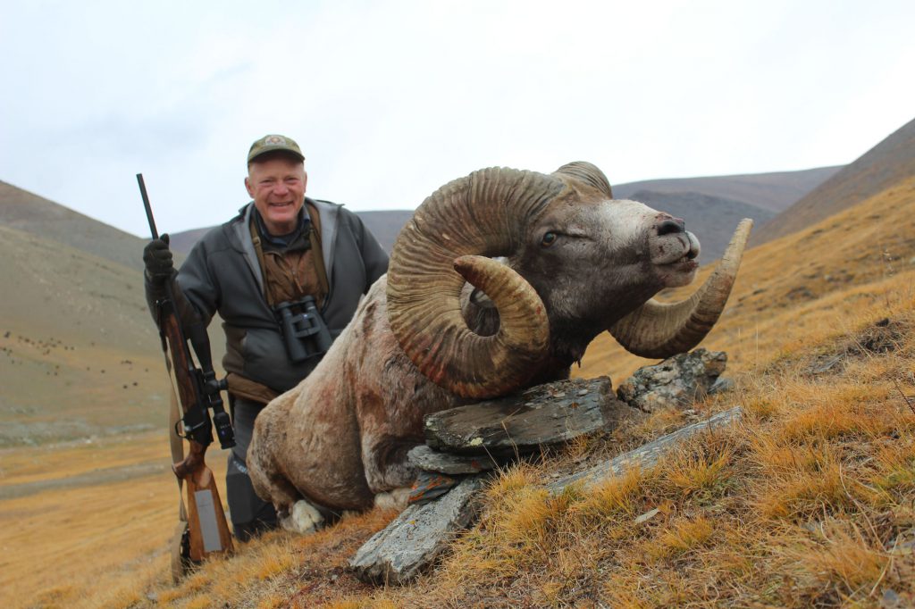 An awesome Altai argali, taken at something over 300 yards with the Blaser R8 and .300 Weatherby Magnum barrel. With this cartridge, Boddington doesn’t start dialing range until about 400 yards.