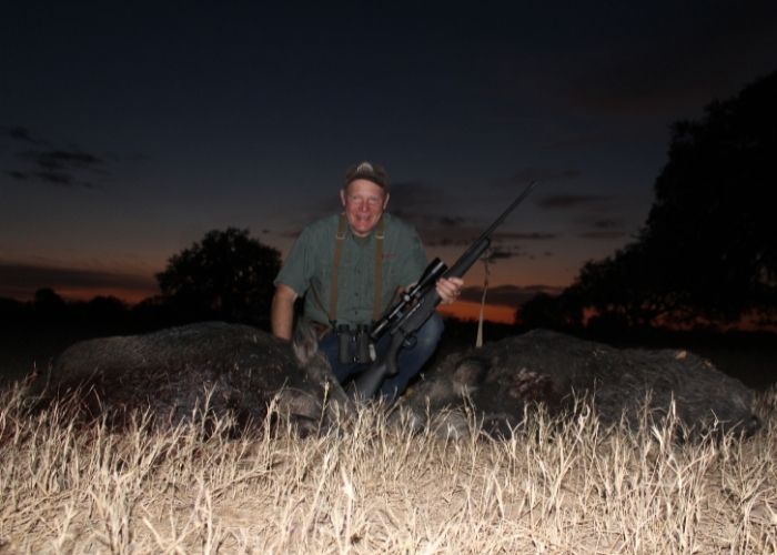 hogs taken at sunset with a .350 Legend.