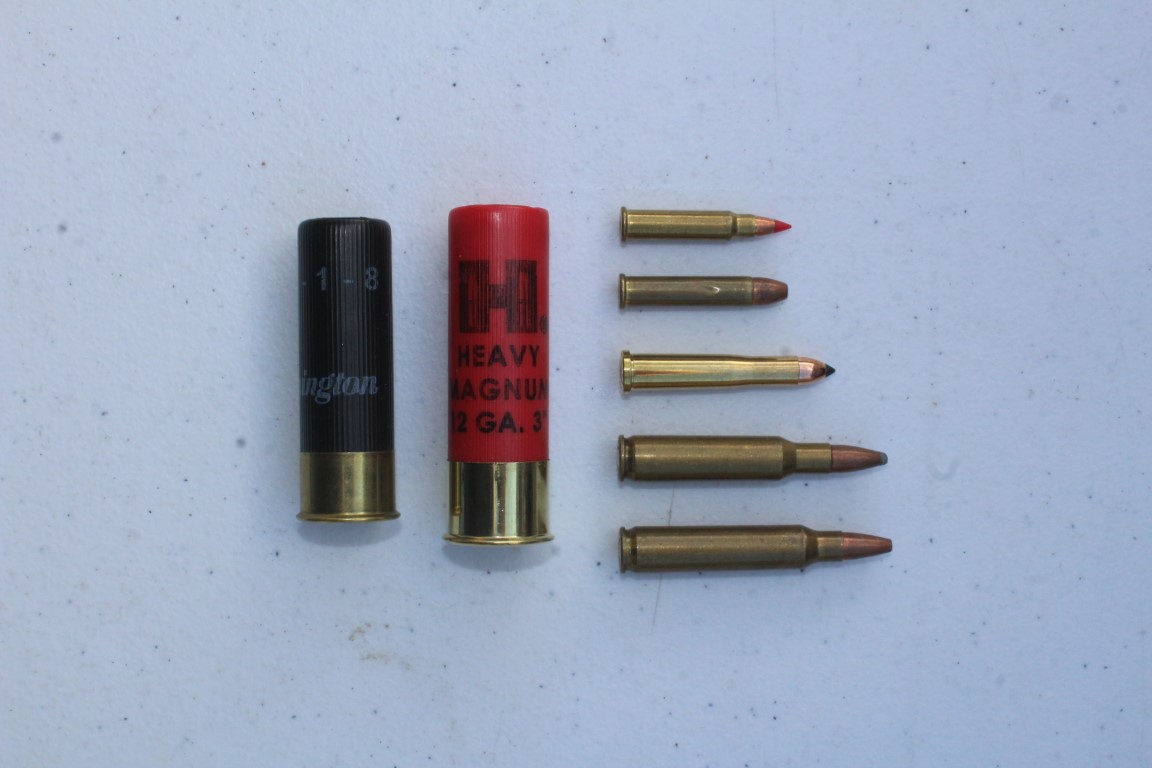 17 HMR, .22 WMR, .22 Hornet, .222 Remington, .223 Remington.