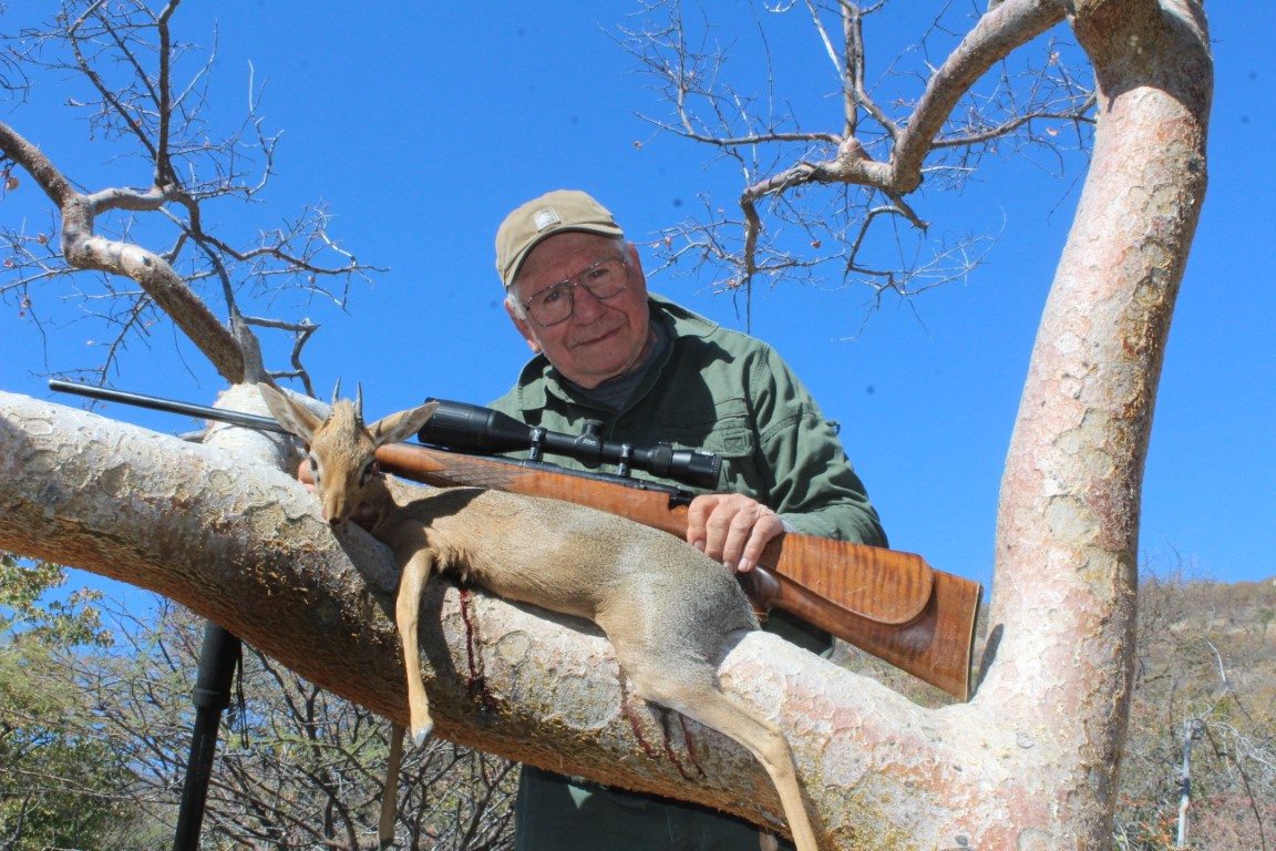 jackrabbit-sized dik diks