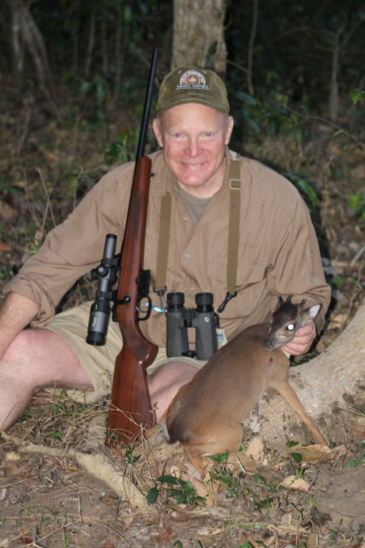 blue duiker