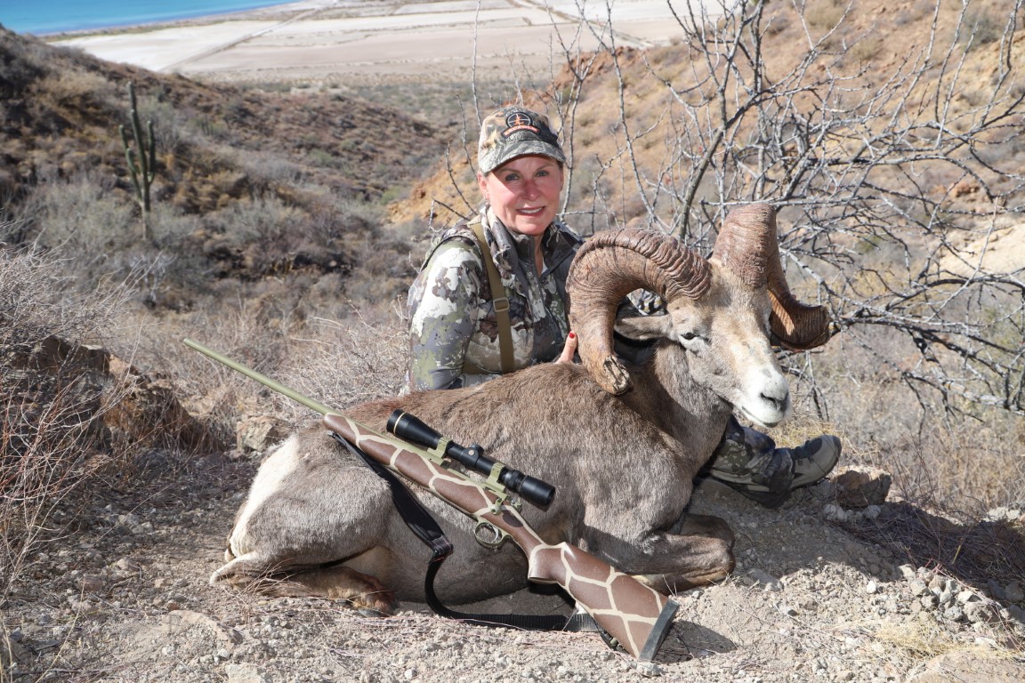 desert bighorn, taken with Donna Boddington’s MGA .270