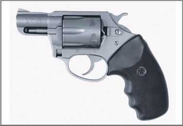 Charter Arms Revolver Pathfinder 22 Magnum 2" Barrel Stainless Steel 72324