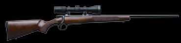 CZ USA 550 243 Winchester American With Rings Bolt Action Rifle No Sights No Scope Rings Only 04107