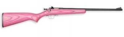 Crickett 22 Long Rifle Pink Laminate Stock Blue Barrel 225
