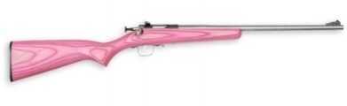 Crickett 22 Long Rifle Pink Laminate Stainless Steel Barrel 226