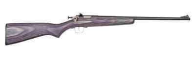 Crickett 22 Long Rifle Purple Black Laminate 227