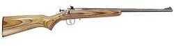 Crickett 22 Long Rifle Brown Laminate Stock Blue Barrel 255