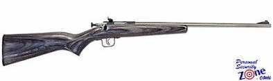 Crickett 22 Long Rifle Black Laminate Stainless Steel Barrel 270