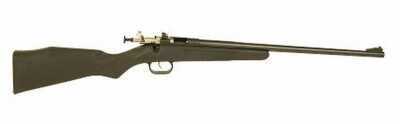 Crickett 22 Magnum 16" Blued Barrel Black Synthetic Bolt Action Rifle 280