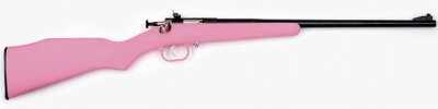 Crickett 22 Magnum Pink With Blued Barrel Bolt Action Rifle 320