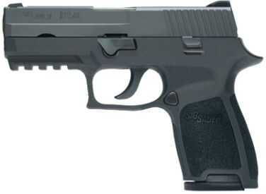Sig Sauer P250 Compact 9mm Luger 3.8" Barrel 15 Round Semi Automatic Pistol 250C9BSS