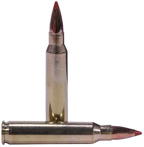 223 Remington 20 Rounds Ammunition Nosler 35 Grain Ballistic Tip