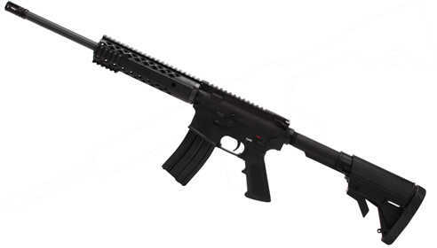 Diamondback Firearms 300 AAC Blackout 4 Rail Free Floating Barrel No Sights Semi Auto Rifle DB15B300