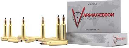 300 AAC Blackout 20 Rounds Ammunition Nosler 110 Grain Flat Base Tipped