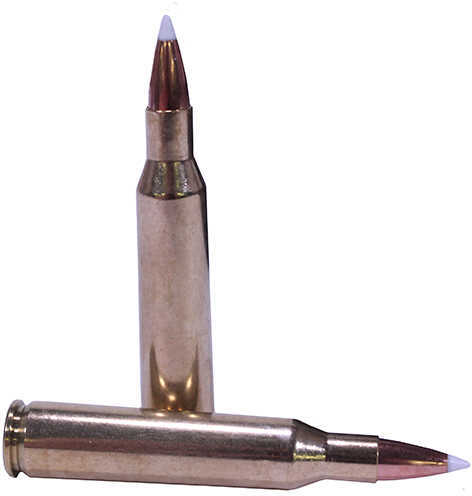 257 Roberts 20 Rounds Ammunition Nosler 110 Grain Ballistic Tip