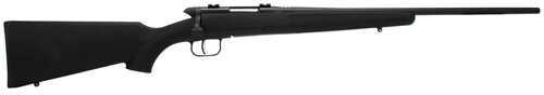 Savage Arms Model BMag 17 Win Super Mag 17 wsm 22" Barrel 8 Round Rotary Magazine Bolt <span style="font-weight:bolder; ">Action</span> Rifle 96901