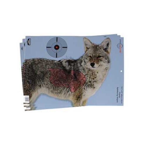Birchwood Casey Pregame Target With Visible Vitals Coyote 16.5x24 3 Targets 35405