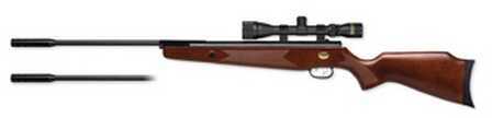 Beeman Elkhorn X2 DC Air Rifle Dual Caliber w/3-9x32 1191
