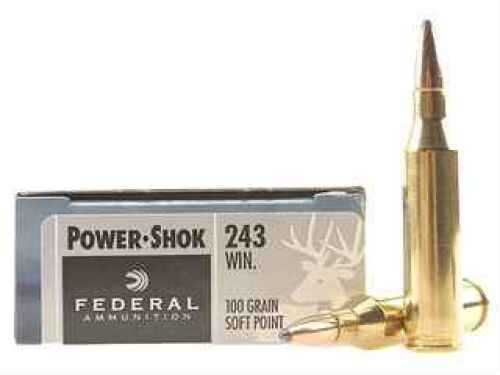 243 <span style="font-weight:bolder; ">Winchester</span> 20 Rounds Ammunition Federal Cartridge 100 Grain Soft Point