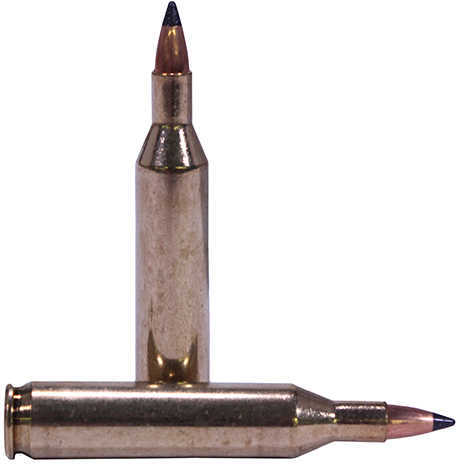 17 Remington 20 Rounds Ammunition Nosler 20 Grain Ballistic Tip