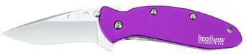 Kershaw Scallion Aluminum, Jewel Tone Purple, Clam Pack 1620PURX
