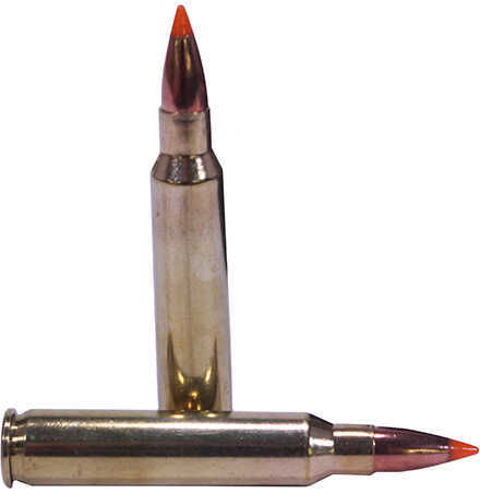 223 Remington 20 Rounds Ammunition Nosler 40 Grain Ballistic Tip