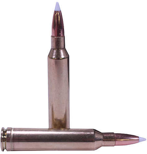 7mm Remington Magnum 20 Rounds Ammunition Nosler 140 Grain Ballistic Tip