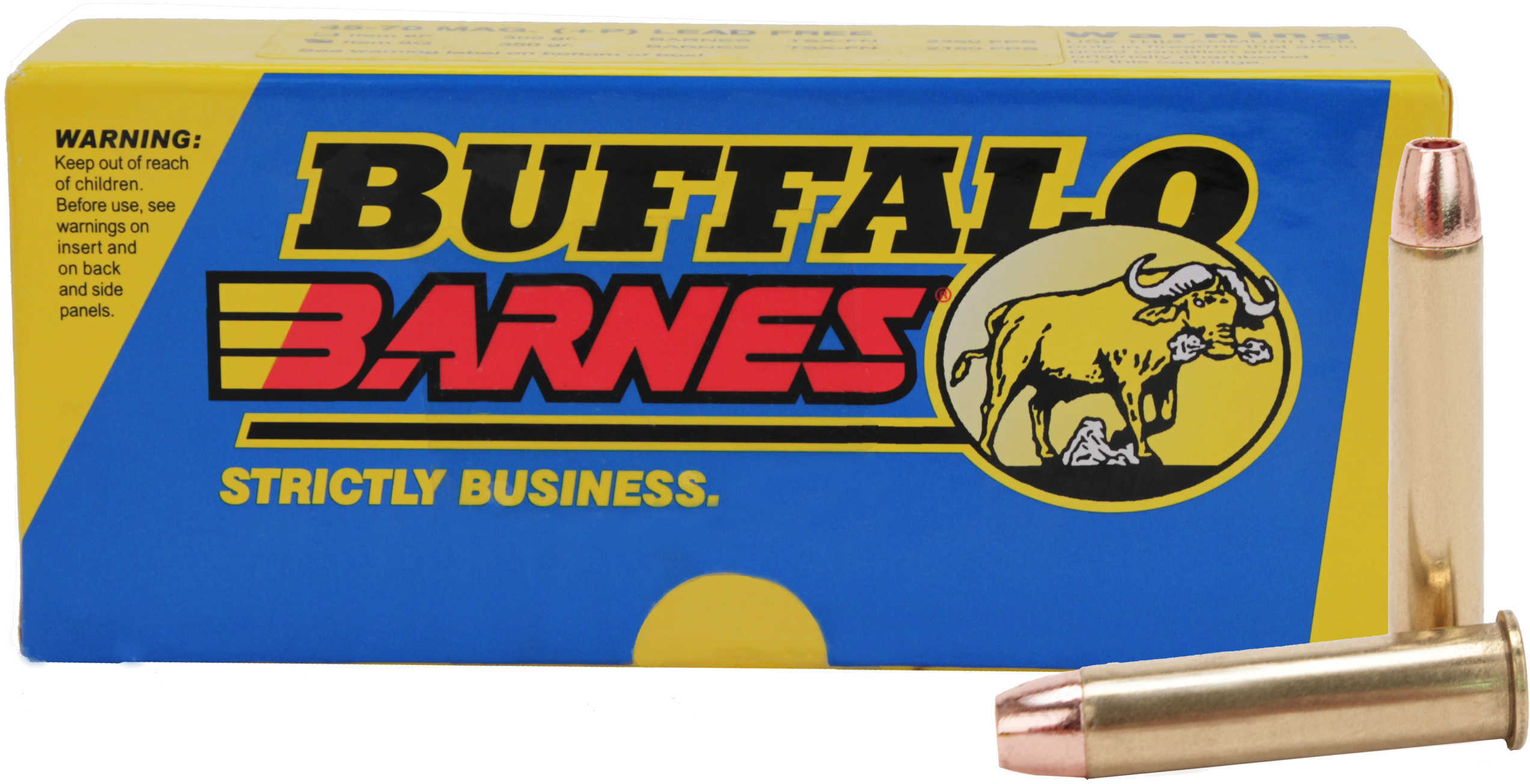 Buffalo Bore Ammunition Barnes 45-70 Mag LeverGun (Per 20) 350 Grains TSX-FN 8G/20