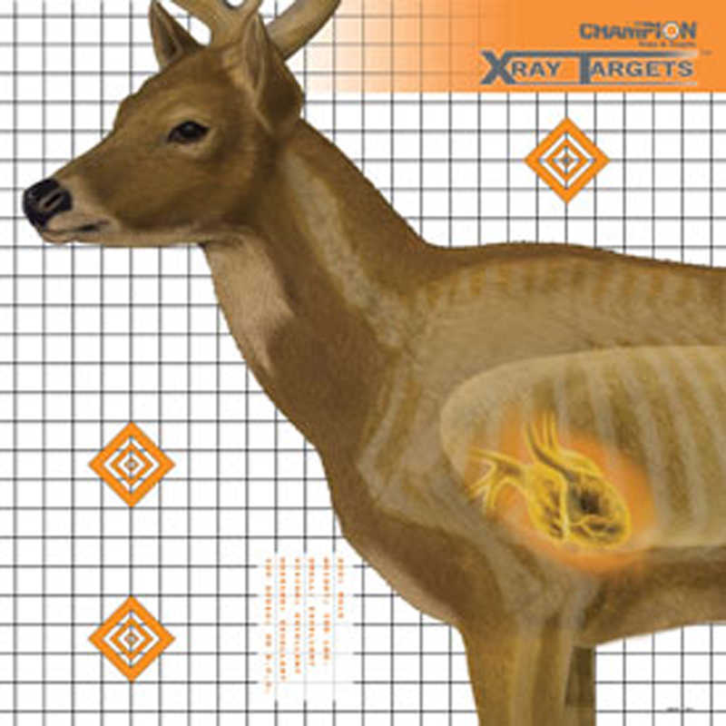 Champion Traps & Targets Deer X-Ray 25X25 6/Pack 45902