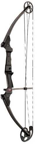 Genesis Carbon Bow Only Right Handed 12246-img-0